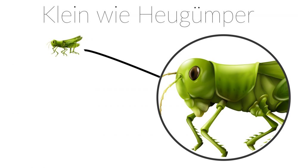 Klein, wie Heugümper